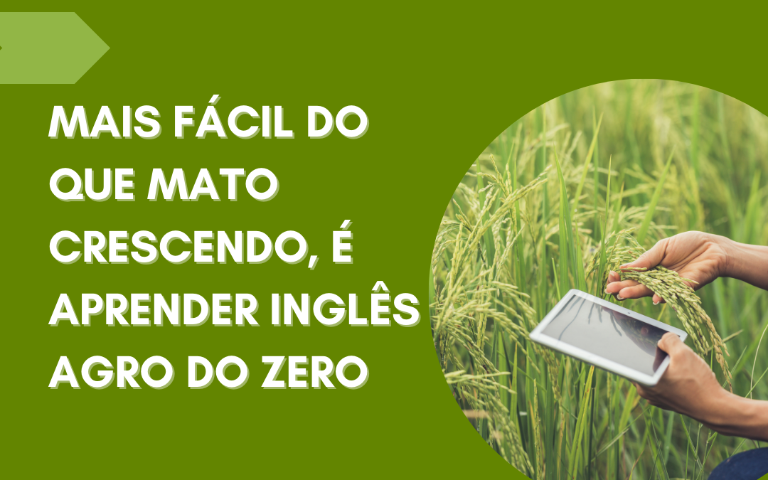 Inglés gramática fácil